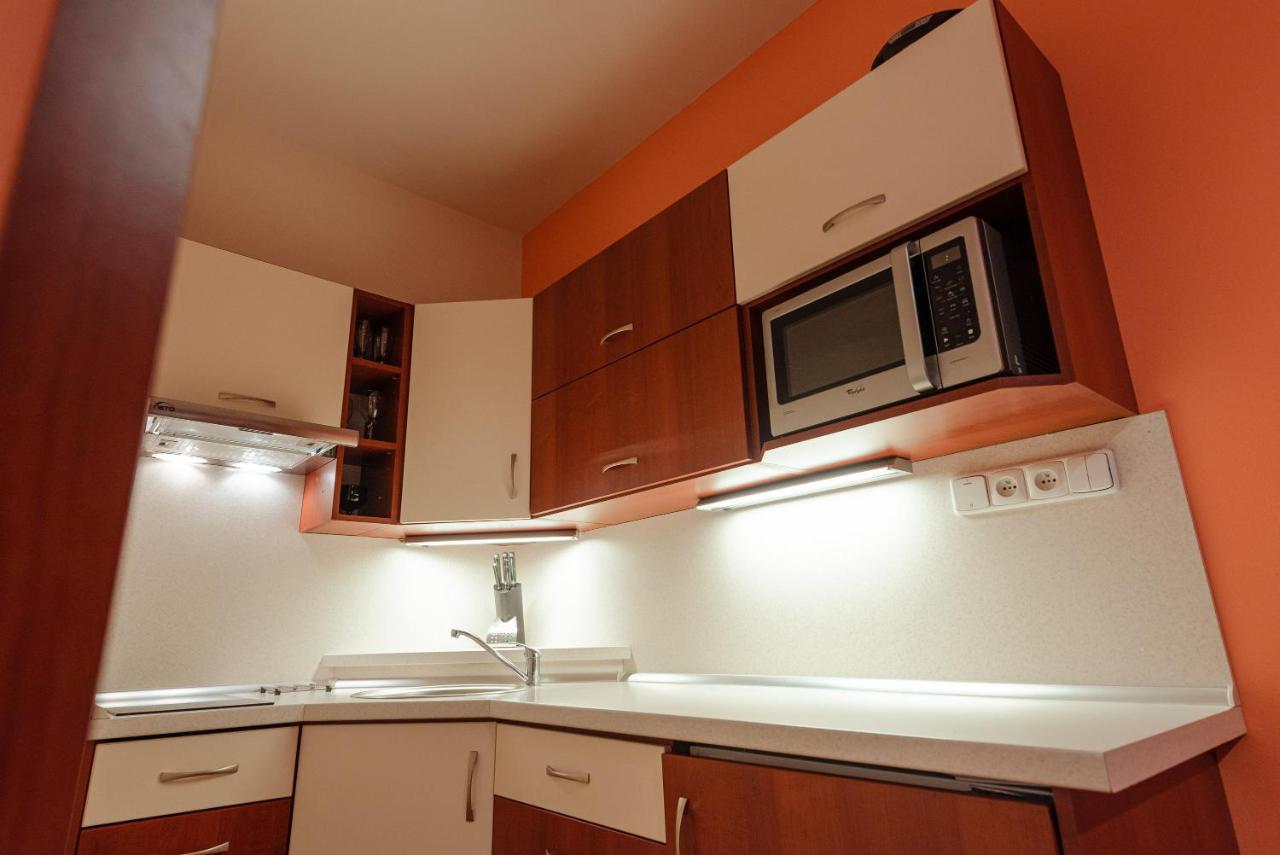 Apartment Ramzova Pod Klinem